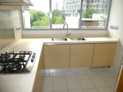 Paterson Suites (D9), Condominium #586182541